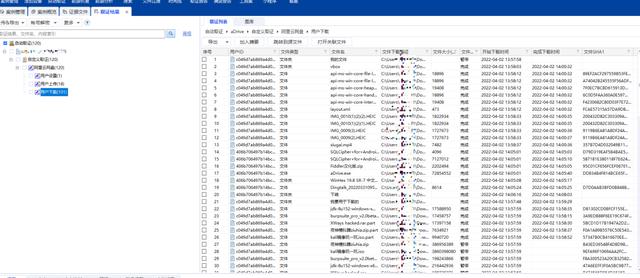 爱奇艺视频解析下载网站（抖音视频解析下载网站）