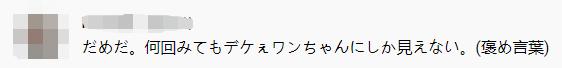 日本私人vps什么意思（日本国外VPS）