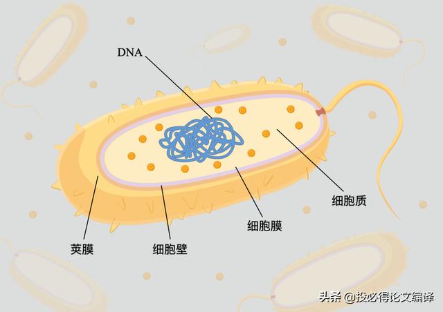 作图网站，免费作图网站