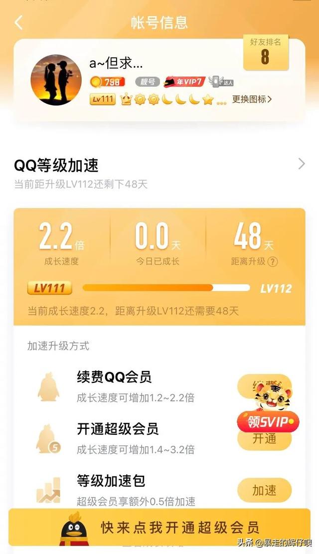 QQ等级代挂网，qq等级代挂网站平台