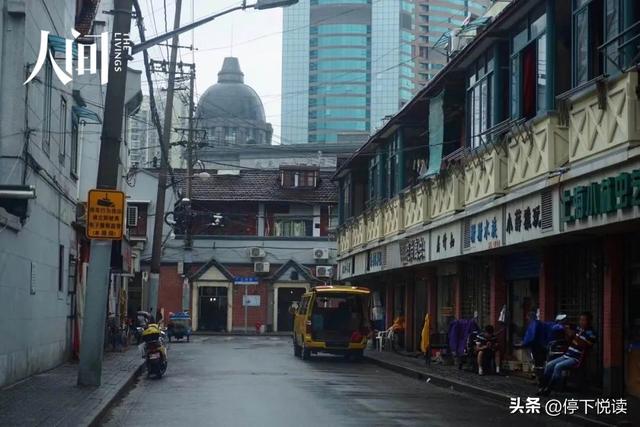 狼雨seo团队,(网站seo狼雨)